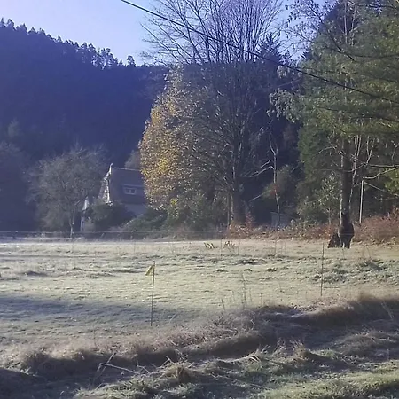 Vosges House 110 M2 In The Heart Of Nature L'Oree Du Bois Saint-Michel-sur-Meurthe Extérieur photo