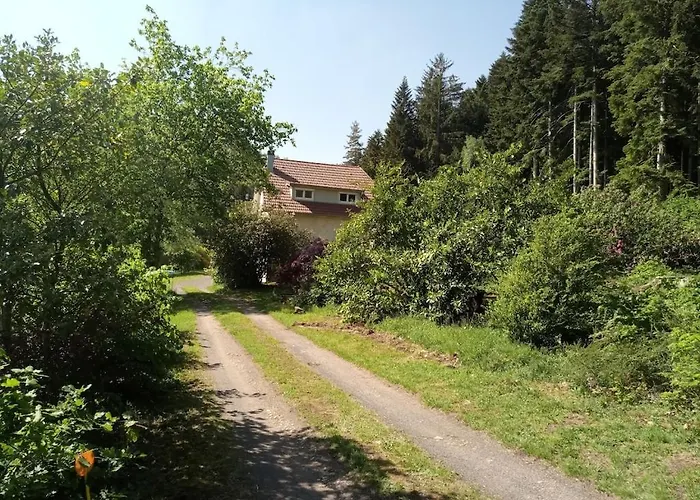 Vosges House 110 M2 In The Heart Of Nature L\'Oree Du Bois