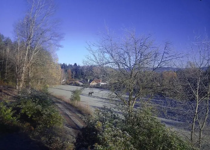 Vosges House 110 M2 In The Heart Of Nature L\'Oree Du Bois