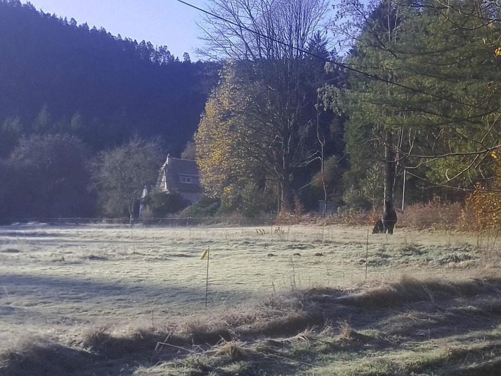 Holiday home Vosges House 110 M2 In The Heart Of Nature L'oree Du Bois Saint-Michel-sur-Meurthe