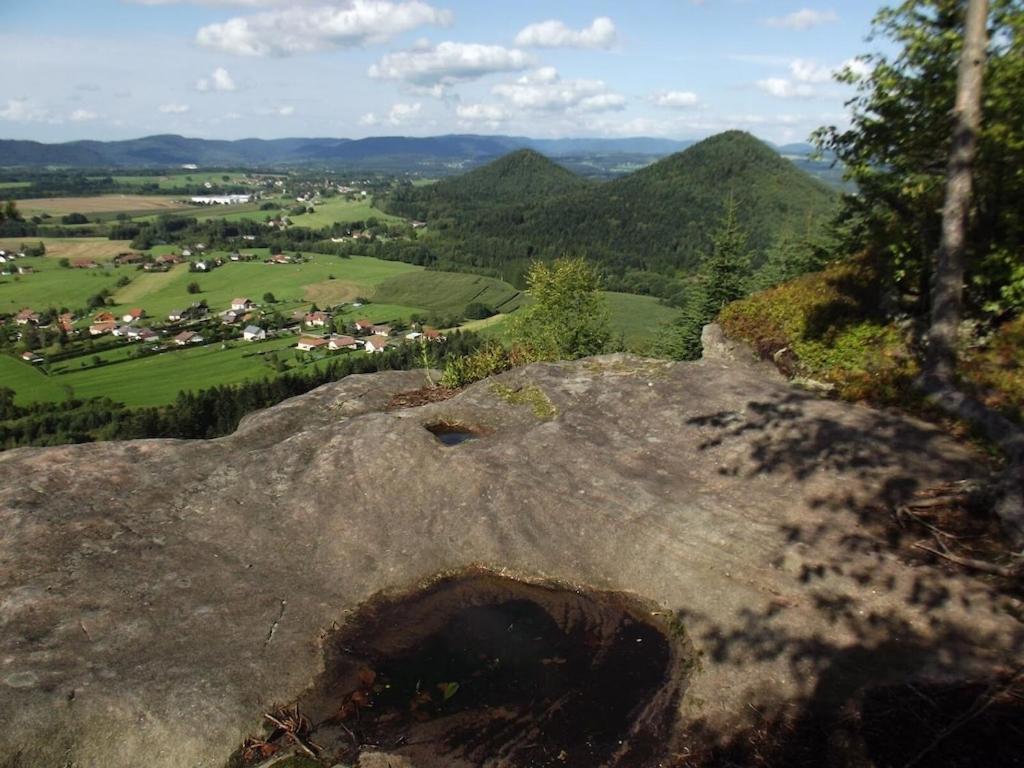 Vosges House 110 M2 In The Heart Of Nature L'oree Du Bois Hébergement de vacances