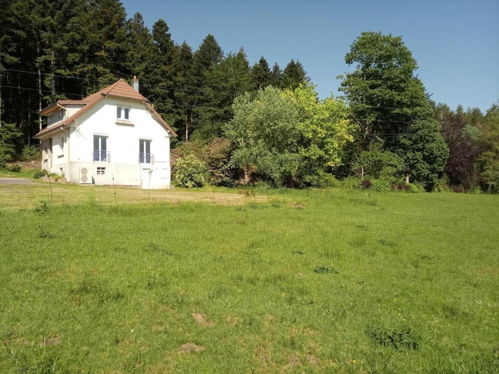 Vosges House 110 M2 In The Heart Of Nature L'oree Du Bois