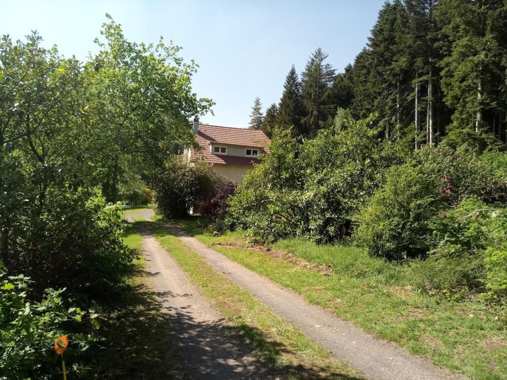 Vosges House 110 M2 In The Heart Of Nature L'oree Du Bois Holiday home *