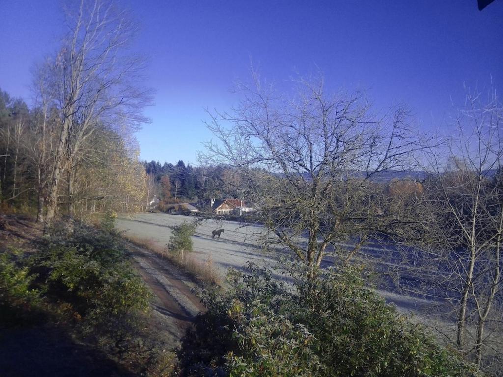Hébergement de vacances Vosges House 110 M2 In The Heart Of Nature L'oree Du Bois Saint-Michel-sur-Meurthe