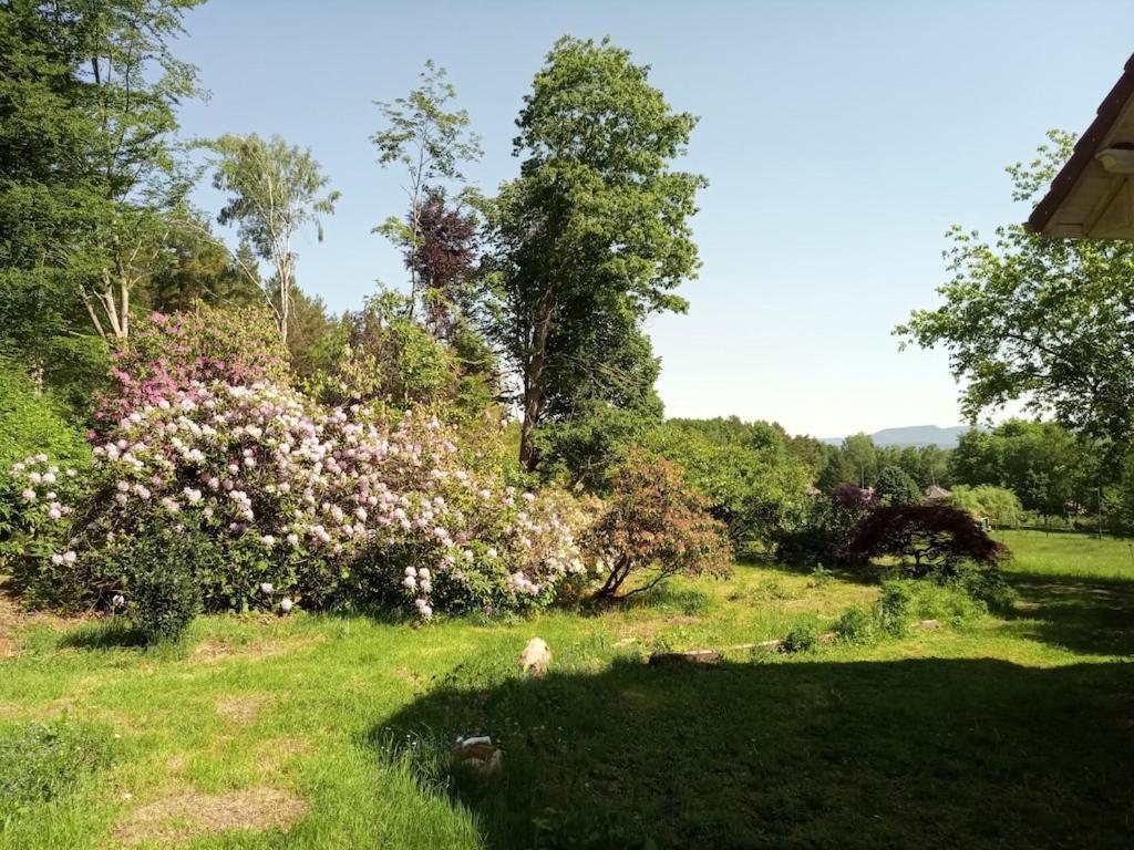 Vosges House 110 M2 In The Heart Of Nature L'oree Du Bois *