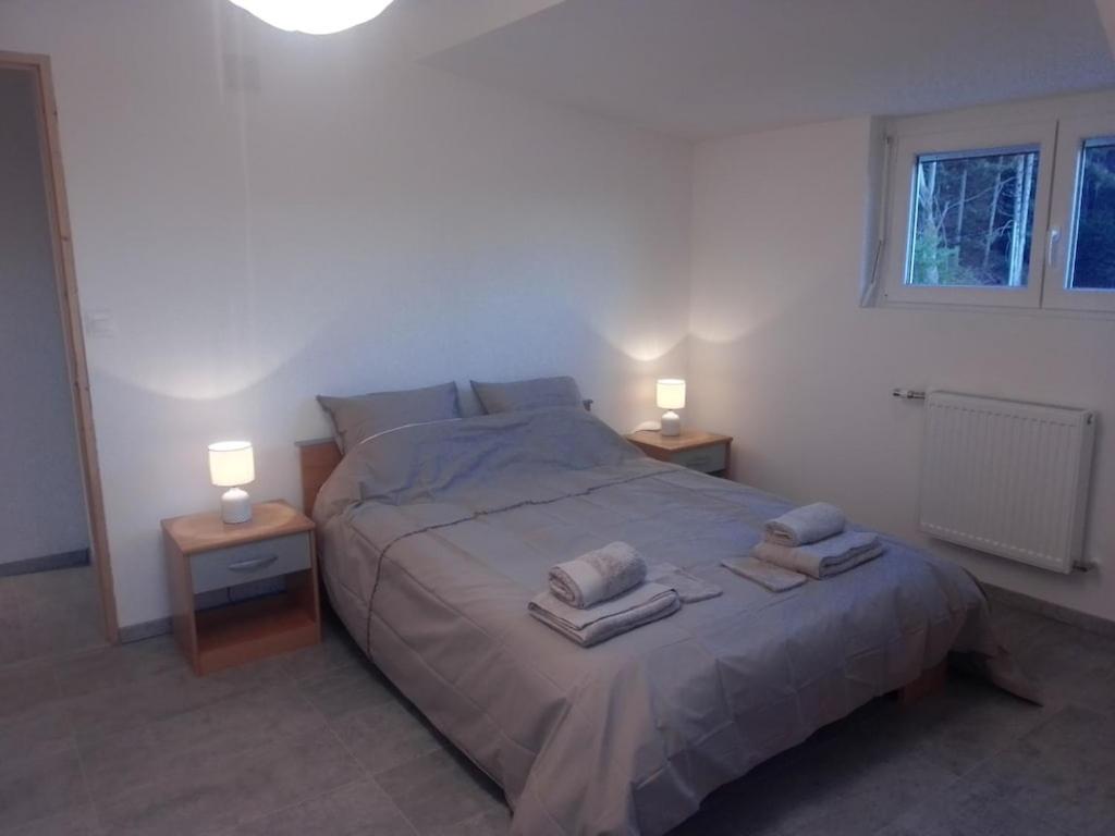 Vosges House 110 M2 In The Heart Of Nature L'oree Du Bois Hébergement de vacances Saint-Michel-sur-Meurthe
